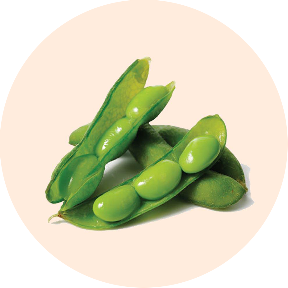 Edamame Edamame